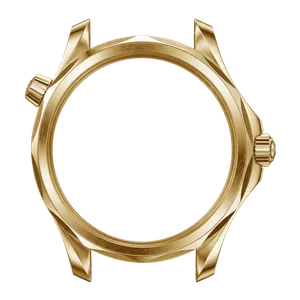 Gold-tone case